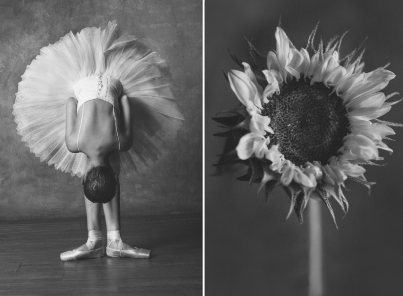 Ballerina and flowers: a photo series about the similarity of the two grace