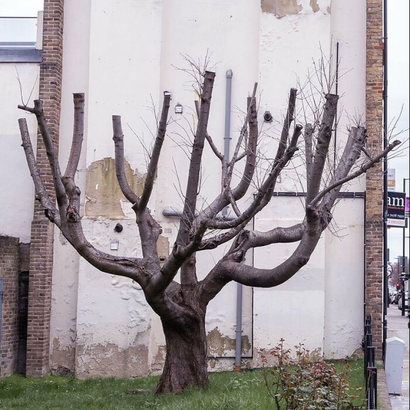 Banksy confirma que la nueva obra maestra en el costado del edificio de Londres es suya