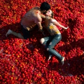 Batalla de los tomates o fiesta de la Tomatina