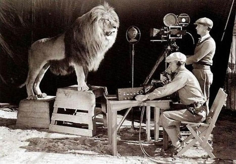 Behind the scenes of your favorite movies-50 photos that reveal the secrets of filming