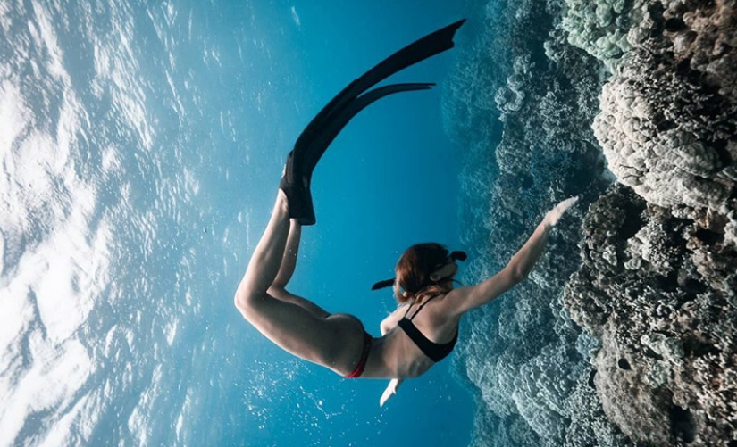 "Big and blue Ocean": a freediver photographer showed an amazing series of underwater shots