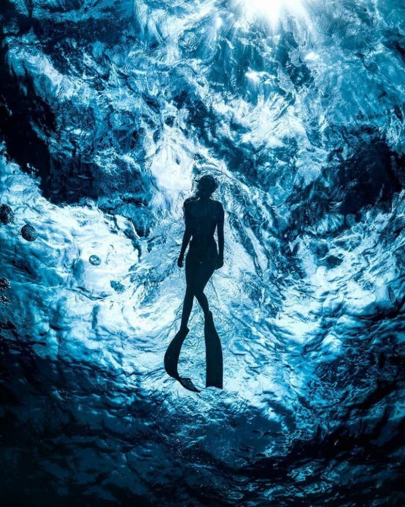 "Big and blue Ocean": a freediver photographer showed an amazing series of underwater shots