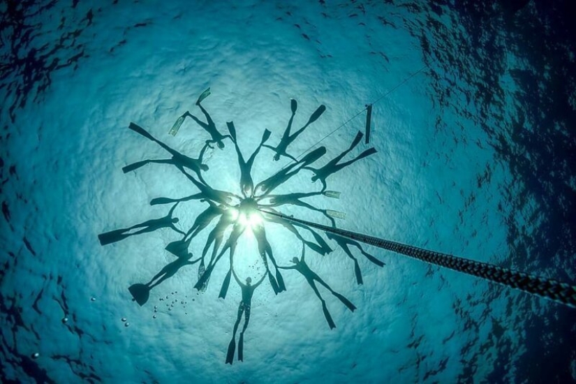 "Big and blue Ocean": a freediver photographer showed an amazing series of underwater shots