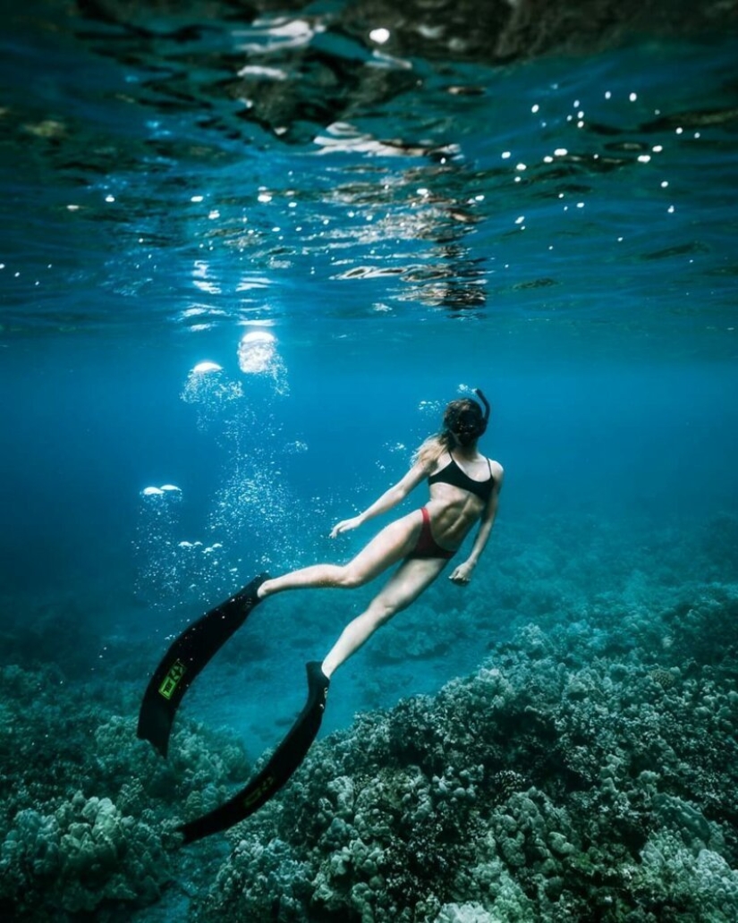 "Big and blue Ocean": a freediver photographer showed an amazing series of underwater shots