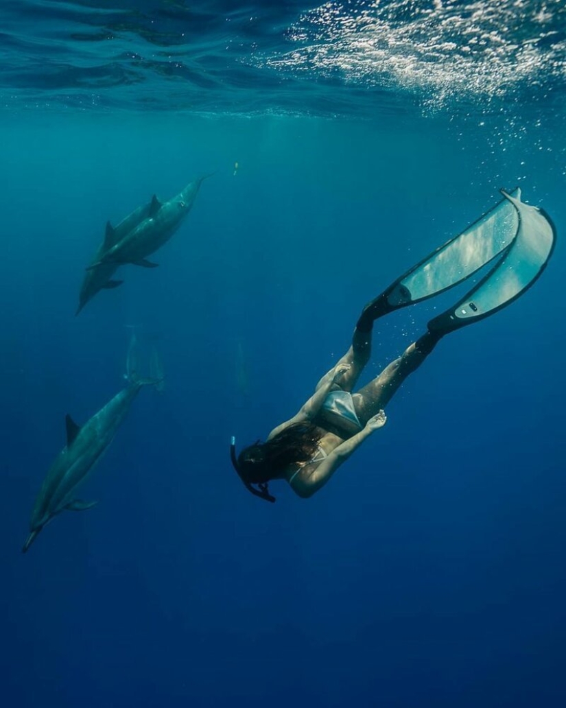 "Big and blue Ocean": a freediver photographer showed an amazing series of underwater shots