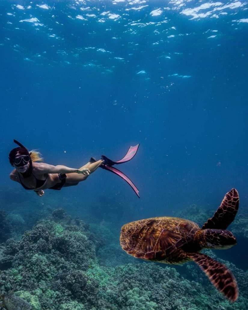 "Big and blue Ocean": a freediver photographer showed an amazing series of underwater shots