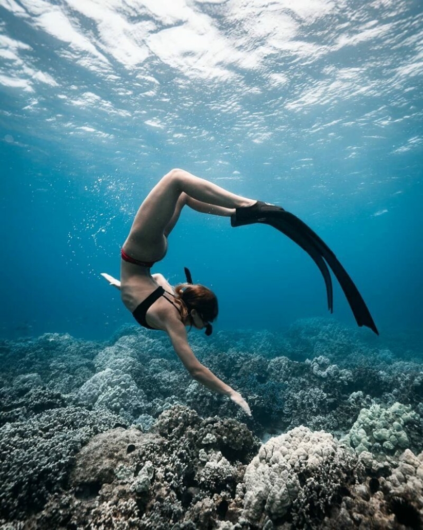 "Big and blue Ocean": a freediver photographer showed an amazing series of underwater shots