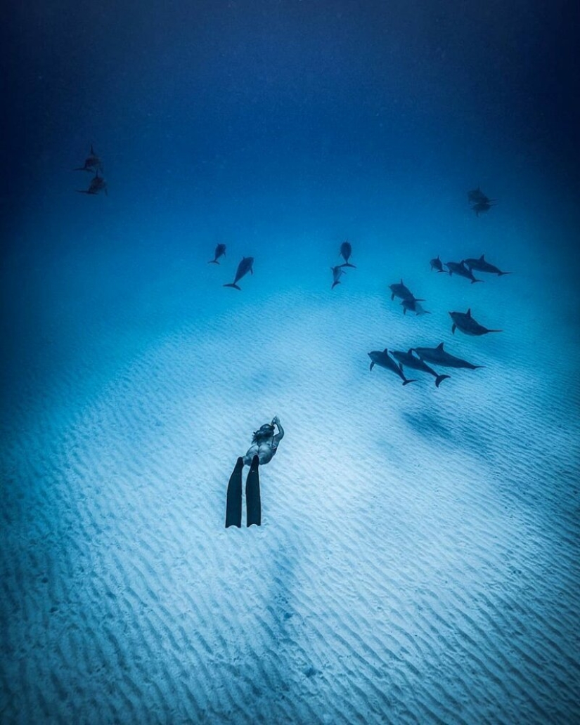 "Big and blue Ocean": a freediver photographer showed an amazing series of underwater shots