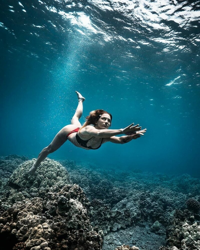 "Big and blue Ocean": a freediver photographer showed an amazing series of underwater shots