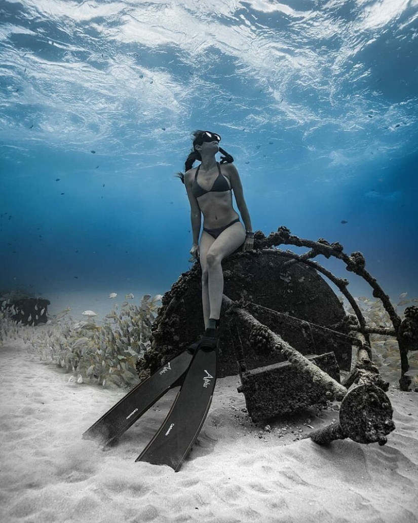 "Big and blue Ocean": a freediver photographer showed an amazing series of underwater shots