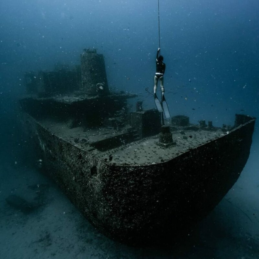 "Big and blue Ocean": a freediver photographer showed an amazing series of underwater shots