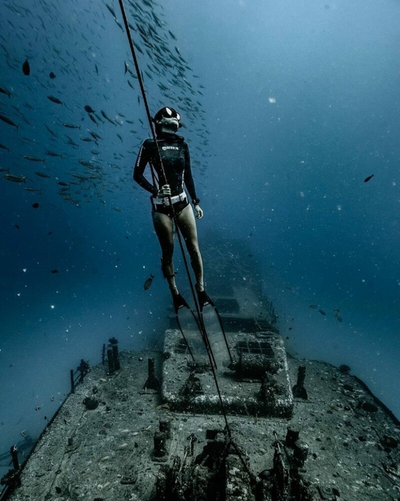 "Big and blue Ocean": a freediver photographer showed an amazing series of underwater shots