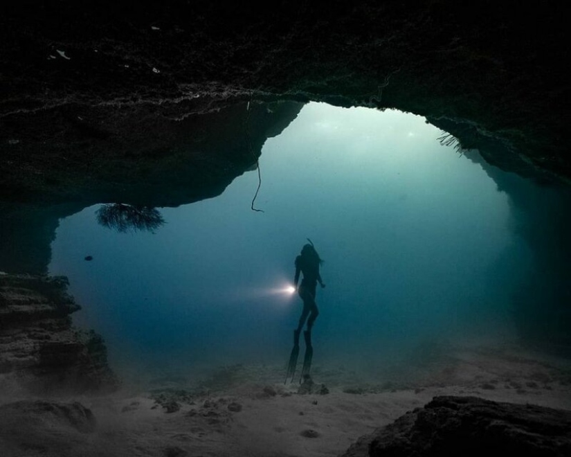 "Big and blue Ocean": a freediver photographer showed an amazing series of underwater shots