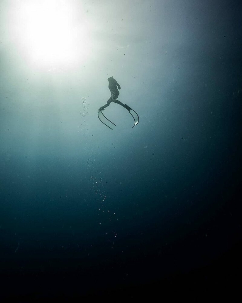 "Big and blue Ocean": a freediver photographer showed an amazing series of underwater shots