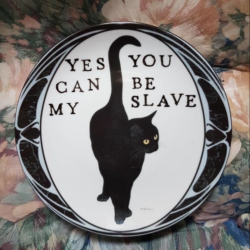 Black humor on porcelain: artist Camila Meicher and her "ugly plates"