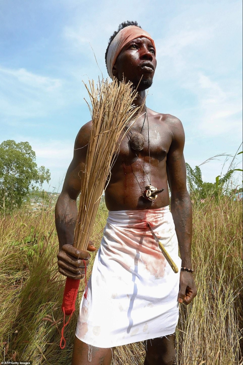 Bloody upbringing: Life inside the secret communities of Sierra Leone is full of perversions and pain