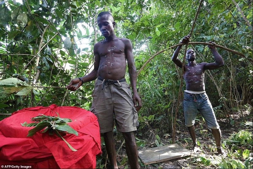 Bloody upbringing: Life inside the secret communities of Sierra Leone is full of perversions and pain