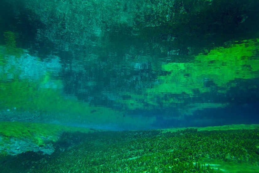 Blue Lake Nelson-el más limpio del mundo