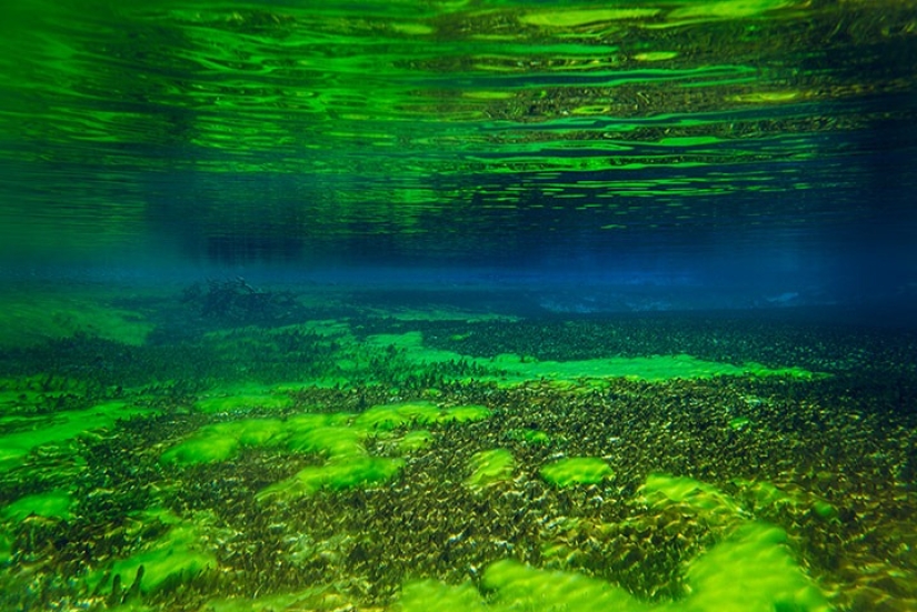 Blue Lake Nelson-el más limpio del mundo