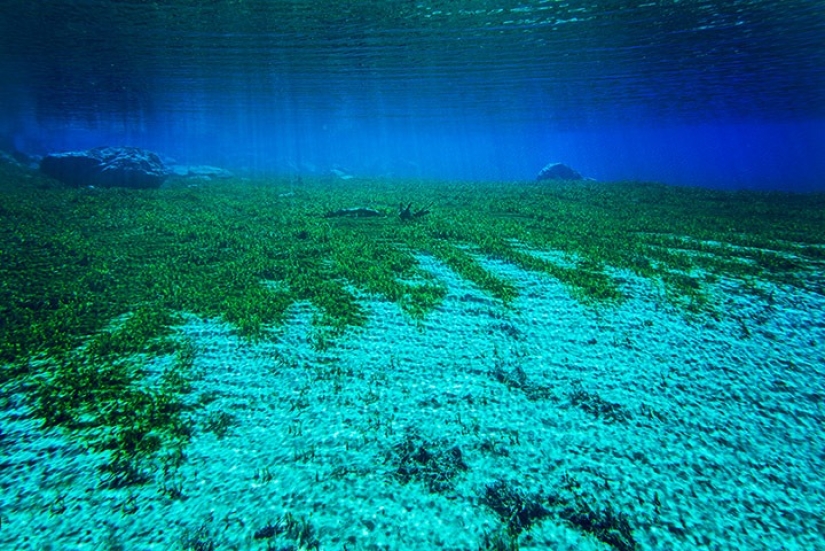 Blue Lake Nelson – the cleanest in the world