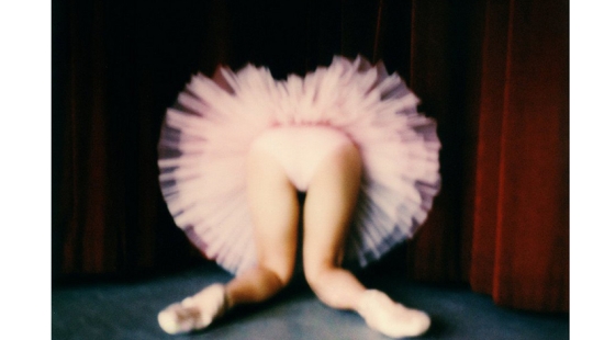 Bold, elegant, gentle: the photographer showed the world of ballerinas