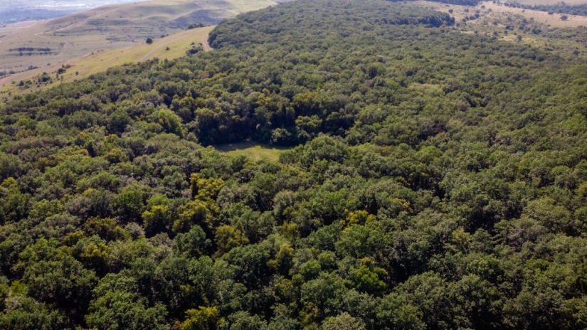 Bosque de Hoia Baciu: por qué este lugar tiene fama de “Triángulo de las Bermudas rumanas”