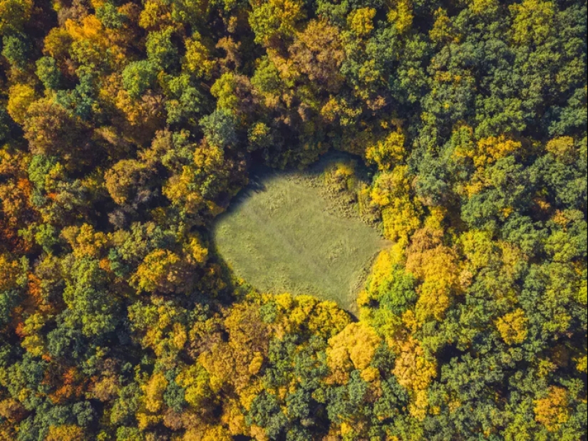 Bosque de Hoia Baciu: por qué este lugar tiene fama de “Triángulo de las Bermudas rumanas”