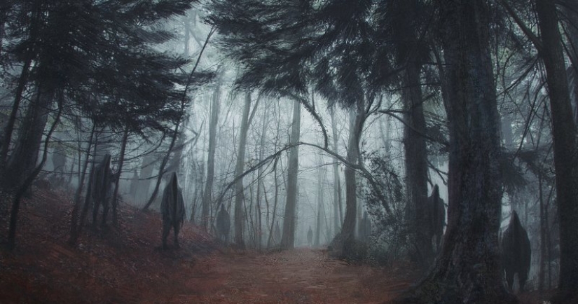 Bosque de Hoia Baciu: por qué este lugar tiene fama de “Triángulo de ...