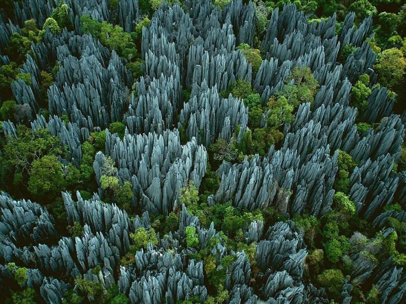 Bosque de piedra en Madagascar