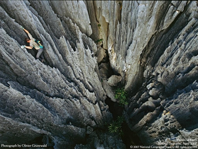 Bosque de piedra en Madagascar