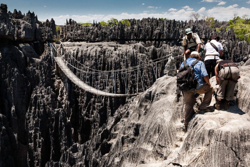 Bosque de piedra en Madagascar