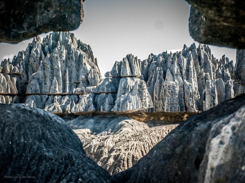 Bosque de piedra en Madagascar