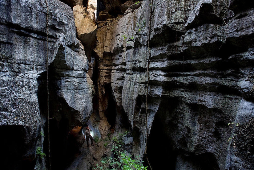 Bosque de piedra en Madagascar