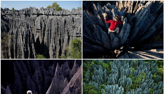 Bosque de piedra en Madagascar