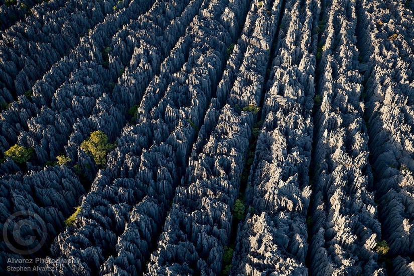 Bosque de piedra en Madagascar