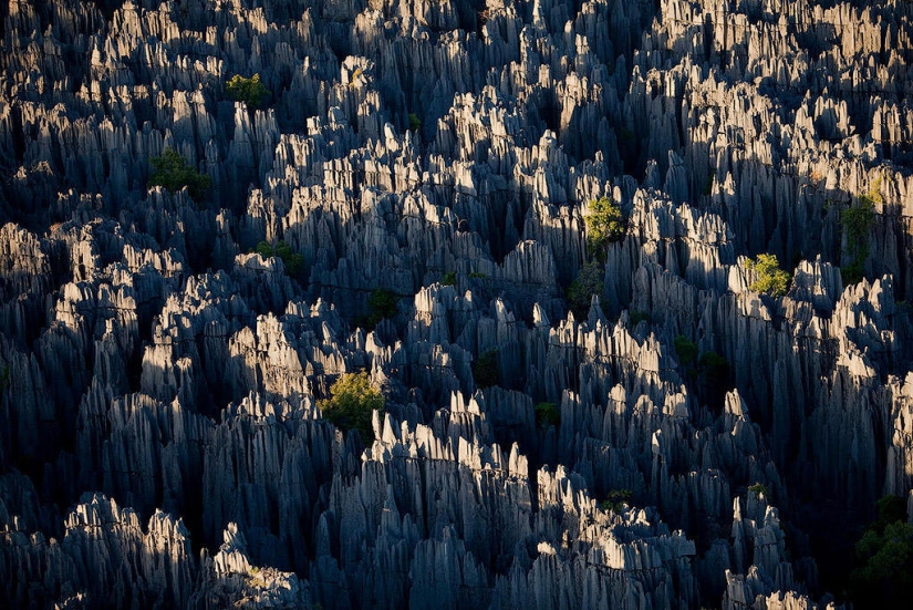 Bosque de piedra en Madagascar