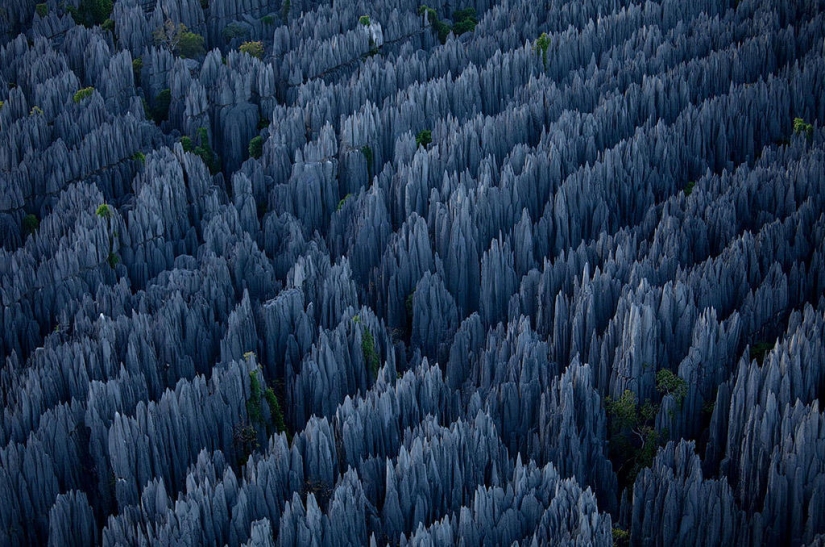 Bosque de piedra en Madagascar