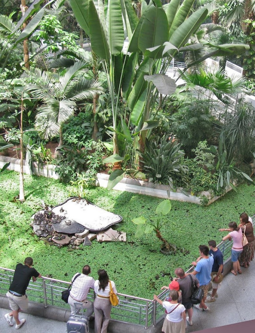 Botanical Garden at the Atocha Train Station in Madrid