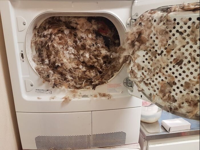 Both funny and sad: 30 curious incidents during washing