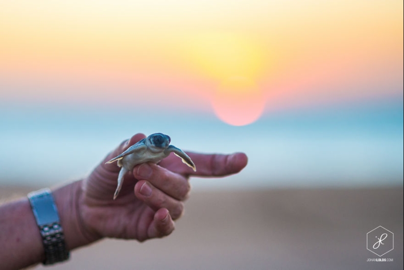 Breathtaking photos of a traveler who has traveled more than 40,000 km across Australia