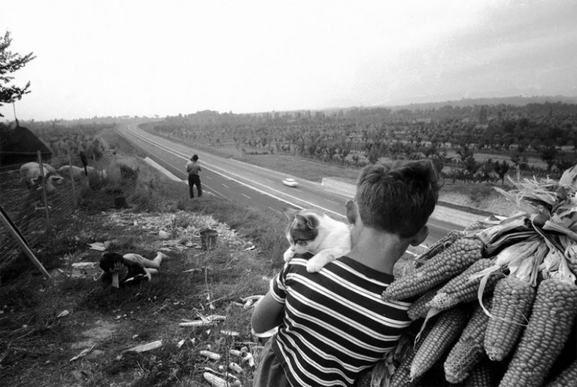 Bright Italy the 50-60-ies of the photographs Paolo di Paolo