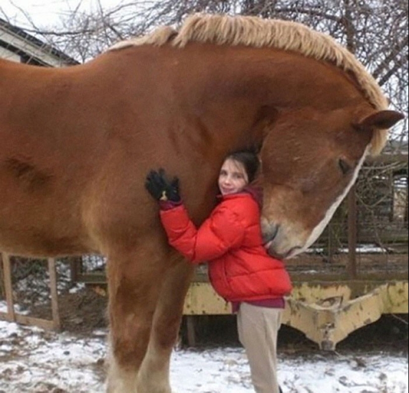 Bueno, ¡qué increíble! 35 gigantes de nuestro mundo