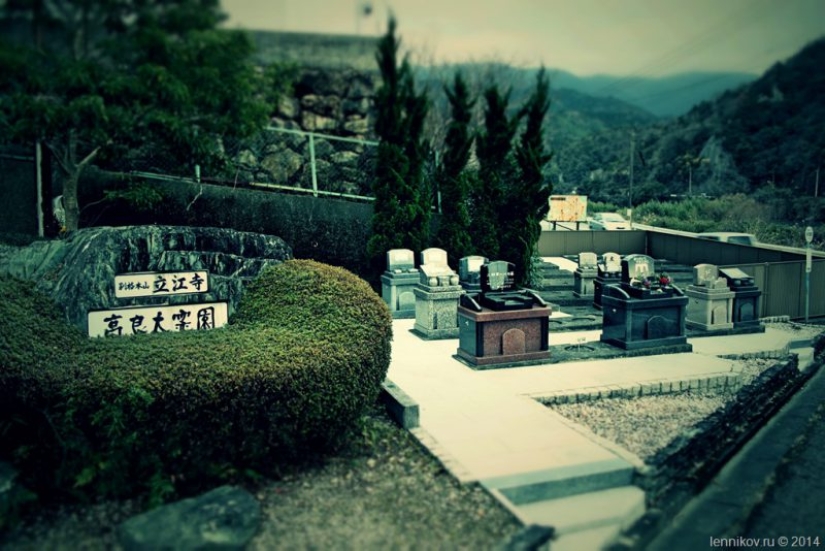 Bury Dinghy with my grandmother. The Japanese tradition of burial of Pets shocking