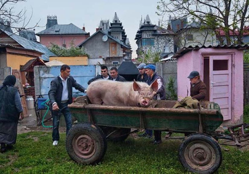 Buzescu es la capital de los gitanos millonarios