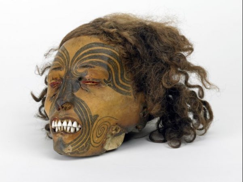 Cabezas secas de mokomokai: reliquias espeluznantes del pueblo maorí
