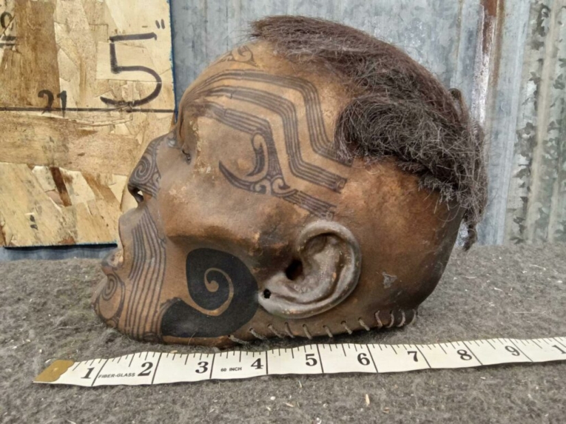 Cabezas secas de mokomokai: reliquias espeluznantes del pueblo maorí