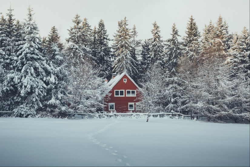 Cada foto es como una pintura: el belga crea paisajes expresivos del norte de Europa