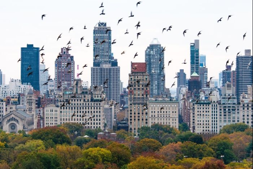 Calles de la ciudad de Nueva York: 10 fotografías captadas por Paul Kessel