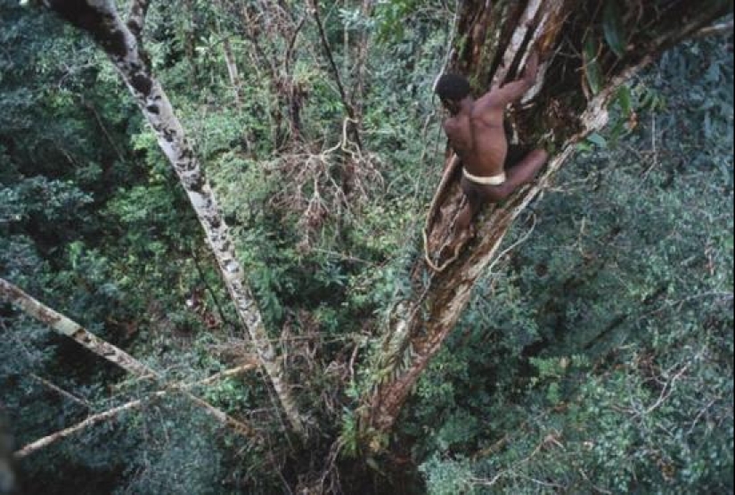 Canibalismo moderno: 4 lugares en la Tierra donde la gente todavía come gente