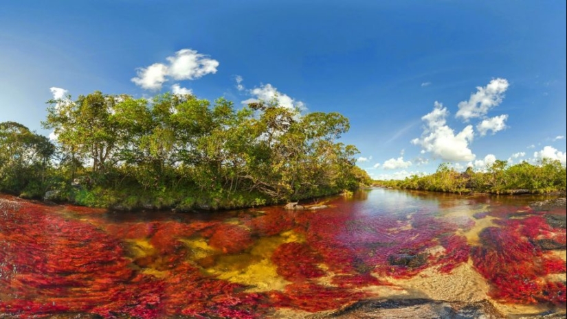 Canio Cristales-el río más hermoso de la Tierra